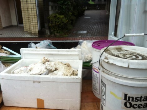 東京都目黒区でのサンゴとサンゴの粉の不用品回収